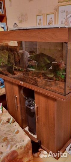 Аквариум(террариум) с тумбой juwel бу