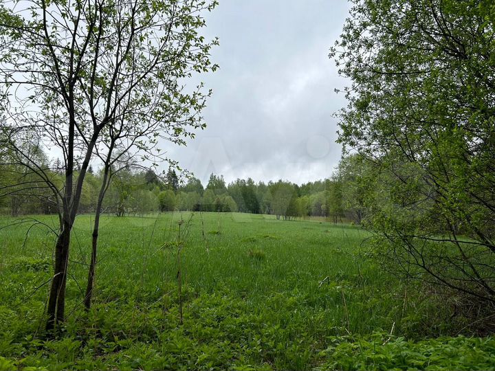 Участок 8,28 га (СНТ, ДНП)