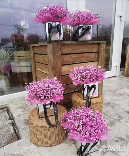 Гипсофила, композиция из живых цветов в коробочке