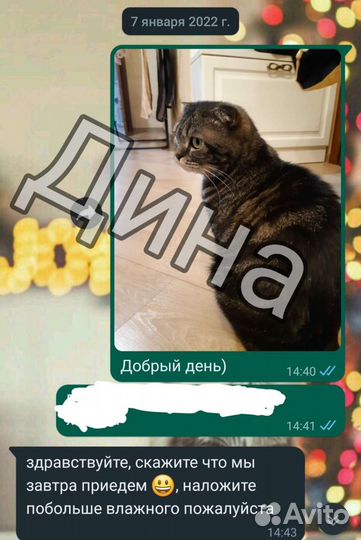 Присмотрю за питомцем