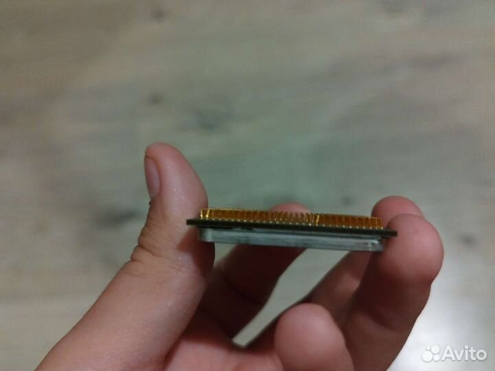 Процессор амудэ семпрончик 2500