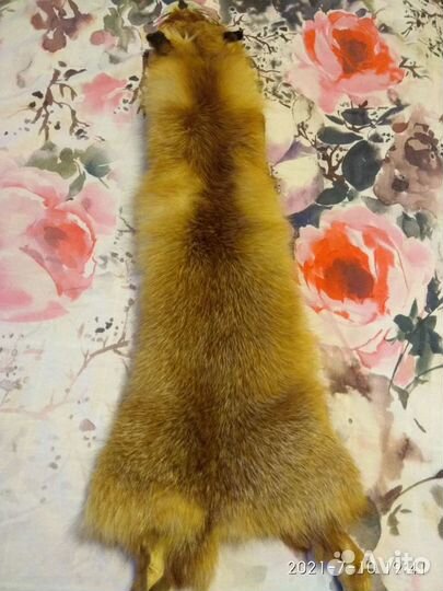 Шкурка лисы