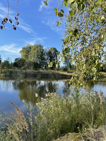 Участок 5,8 га (СНТ, ДНП)