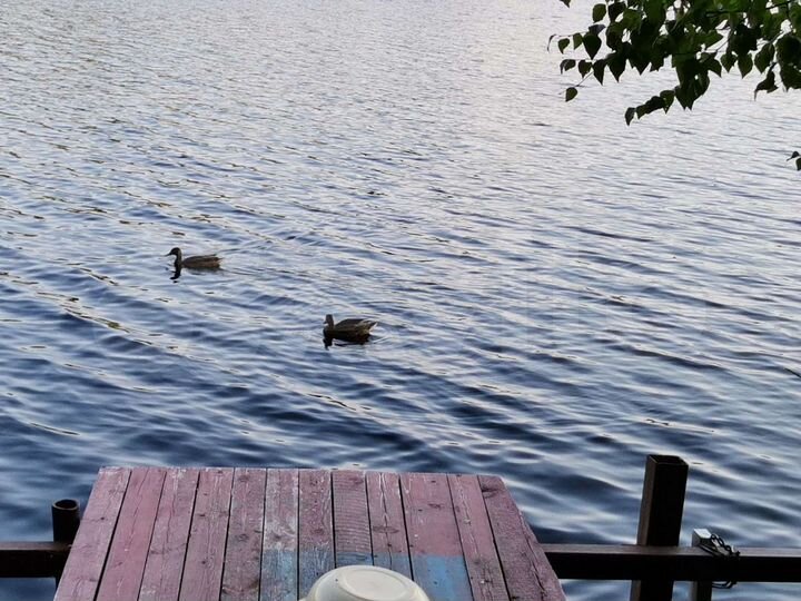 Дом 102 м² на участке 16 сот.