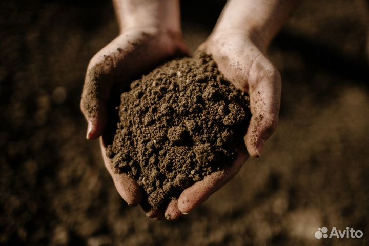 Торфогрунт