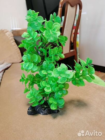 Грот для рыб