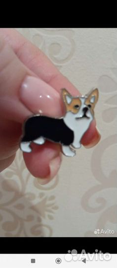 Броши(животные-собаки)