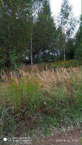 Участок 15 сот. (ИЖС)