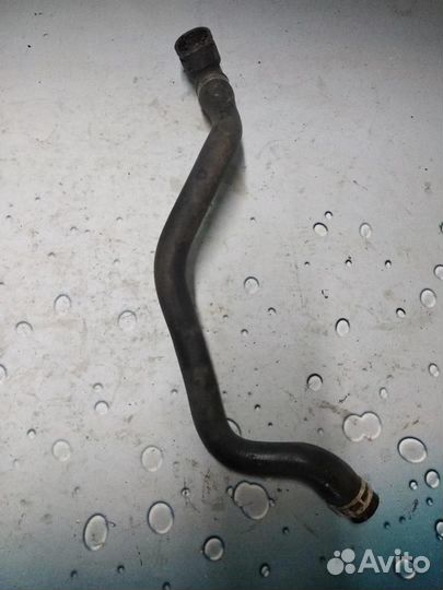 Патрубок охлаждения 24421795