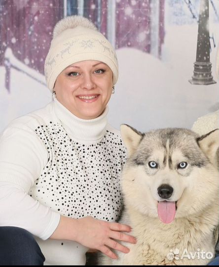 Курсовые, дипломные, отчёты