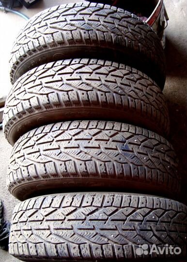 Tigar Ice 185/65 R15