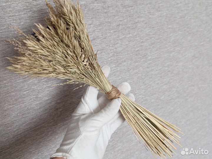 Букетик из сухоцветов/сухоцветы