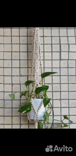 Кашпо подвесное макраме