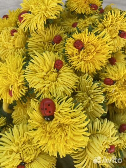 Одуванчики резиночки