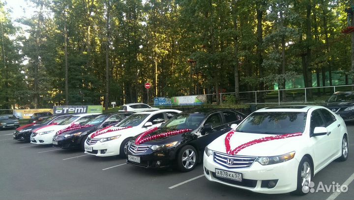 Свадебных украшений, кольца, ленты