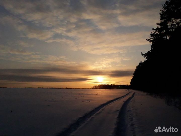 Картина маслом пейзаж 