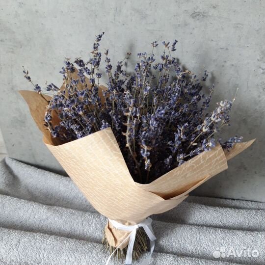Лаванда сухоцвет