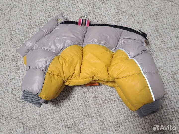 Зимняя одежда для собак