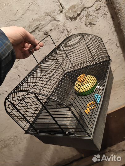 Клетка для мелких грызунов 20*35см