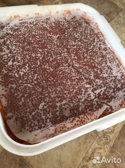 Икра горбуши путина 2023г. опт