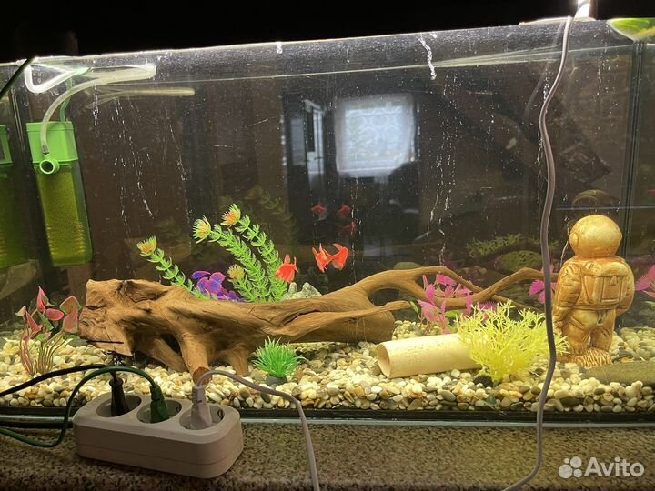 Аквариум