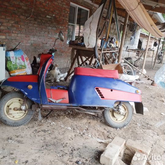 Продам тулица