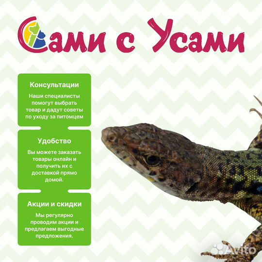 Royal canin Gastrointestinal Kitten Корм сух.диет