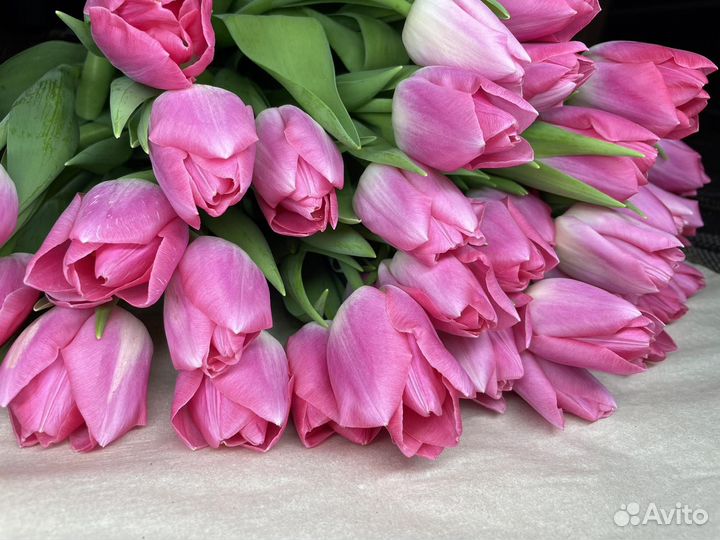 Живые цветы букеты