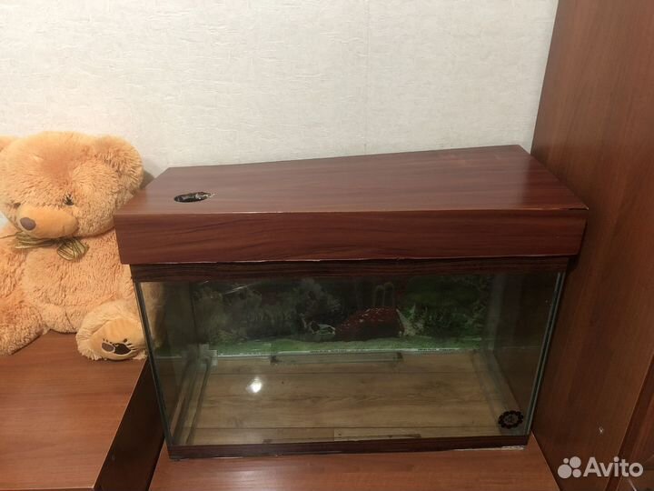 Аквариум