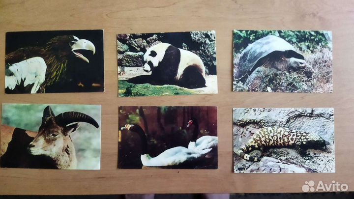 Открытки СССР