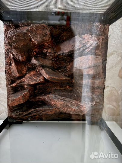 Террариум для рептилий