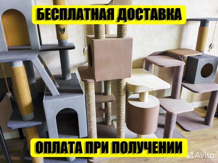 Когтеточки