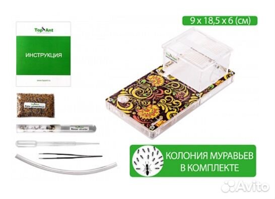 Муравьиная ферма