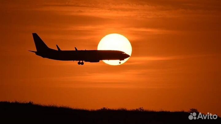Упаковщик бортпитания в Шереметьево / Вахта без оп