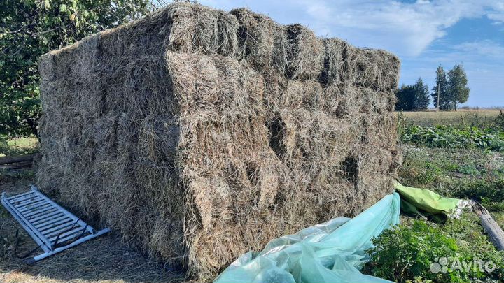 Сено в тюках,солома