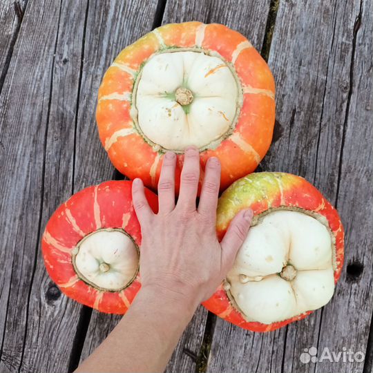 Тыква декоративная осенний декор для дома