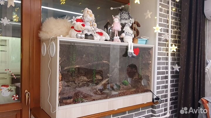 Террариум для змеи