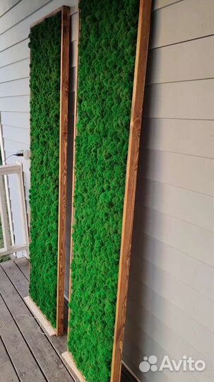 Панно из стабилизированного мха с подсветкой