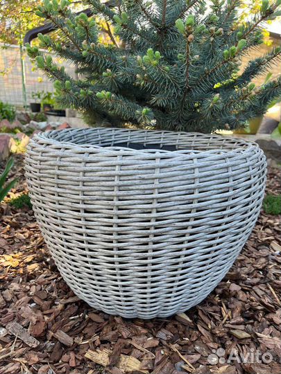 Кашпо из ротанга для цветов