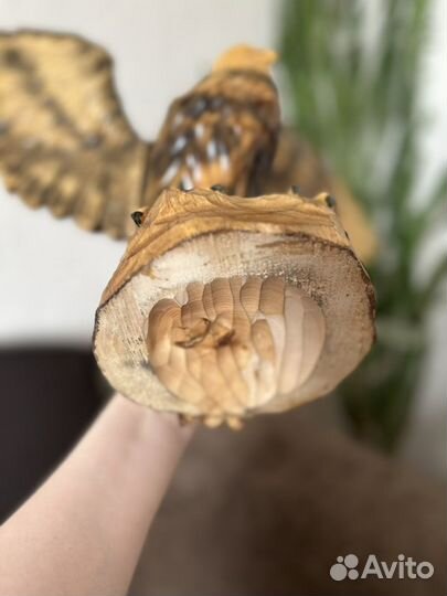 Орел деревянный (ручная работа, лак)