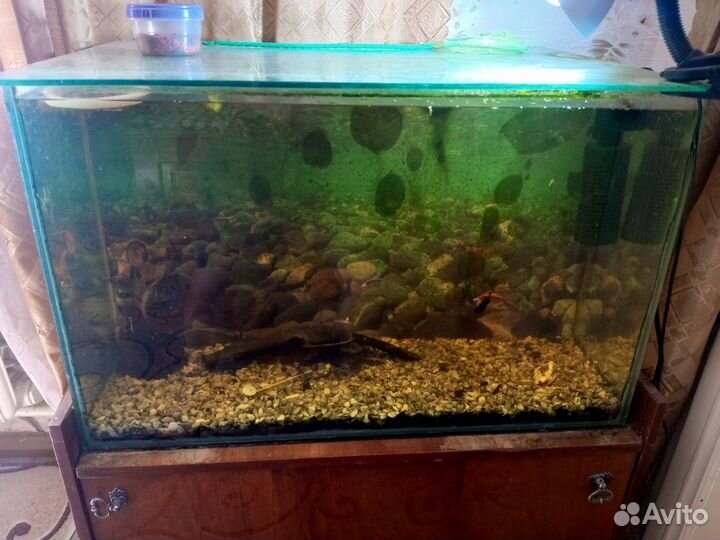 Аквариум