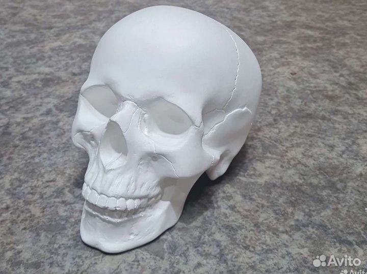 Череп Сувенирный