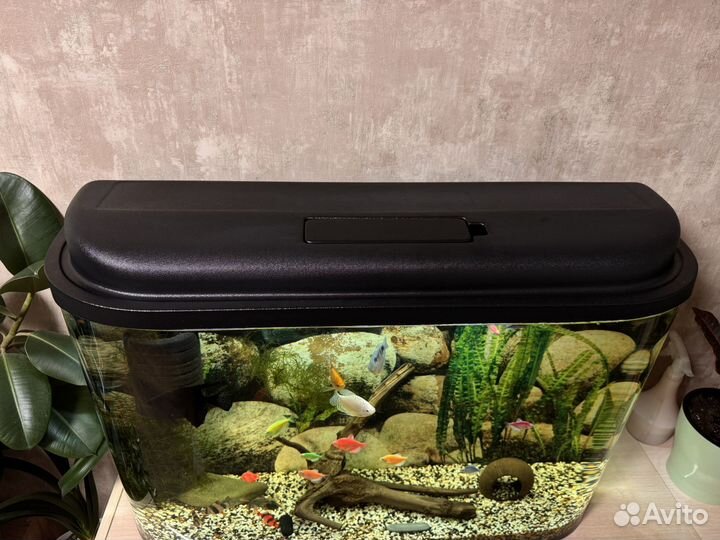 Аквариум С рыбками 105 л