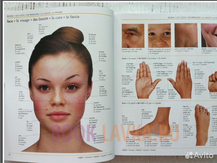 Словарь. 5 языков. Англ,Фр,Нем,Исп, Итал