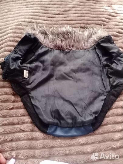 Вещи на маленькую собачку