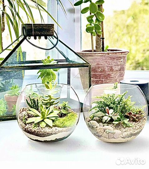 Аквариум, Ваза для флорариума