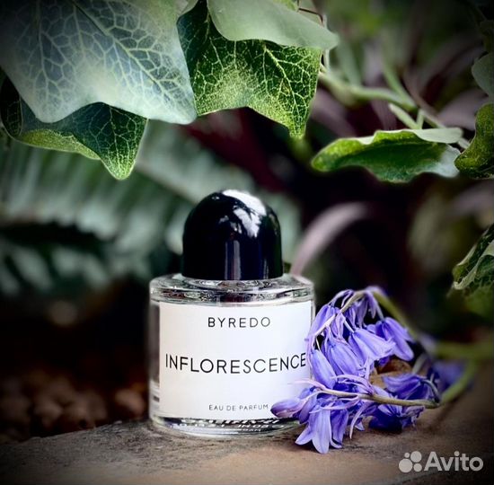 Byredo - Inflorescence