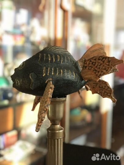 Рыба декоративная