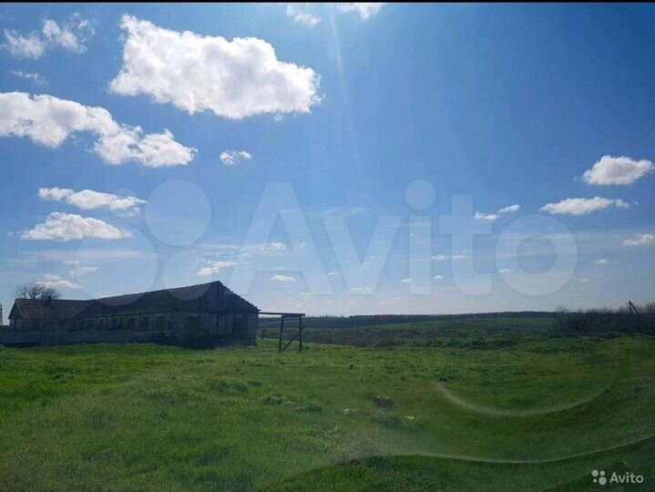 Участок 6 га (СНТ, ДНП)