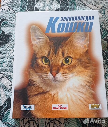 Энциклопедия Кошки